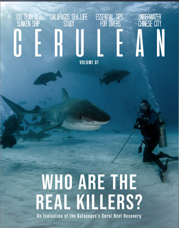 Cerulean Mag