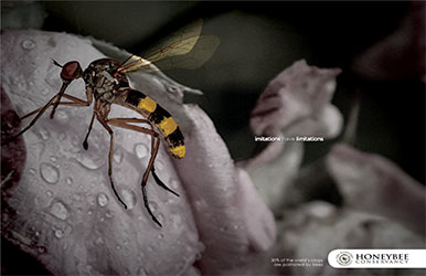Francis: Honeybee Conservatory