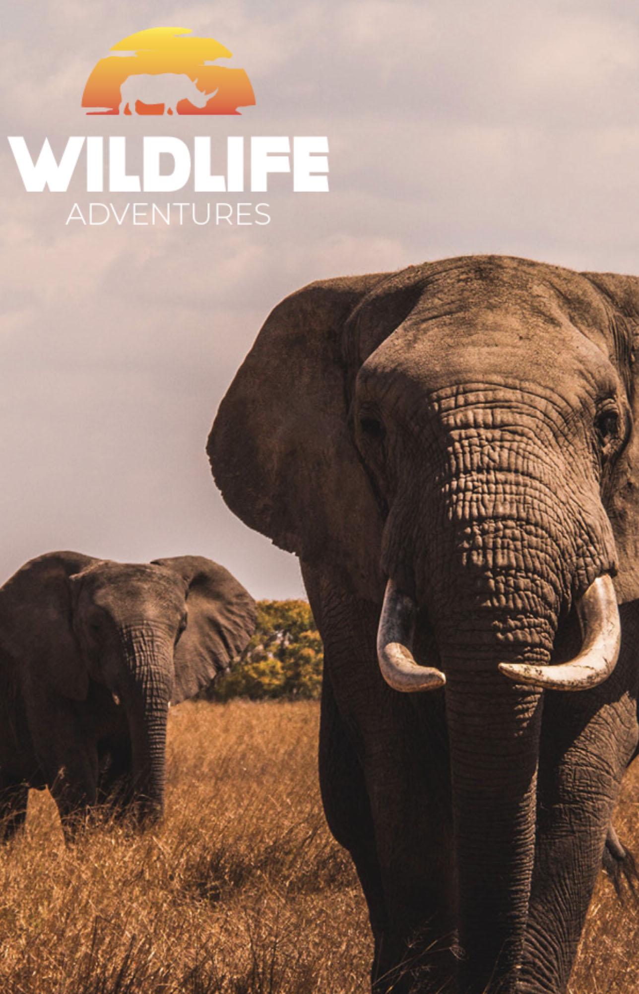 Wildlife Adventures