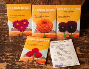 Summer Burst