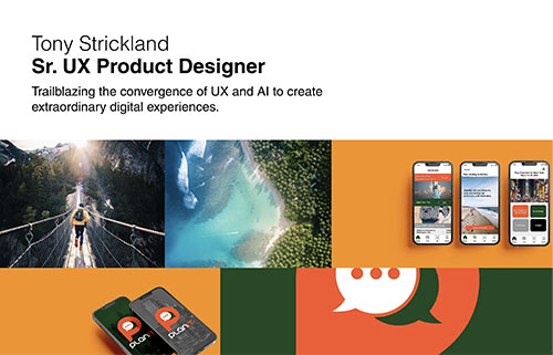 Strickland Portfolio